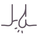 Anal Fistula