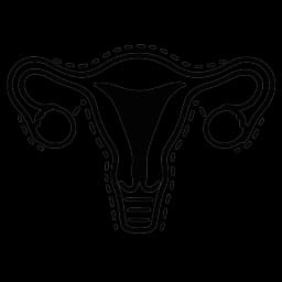 Hysterectomy